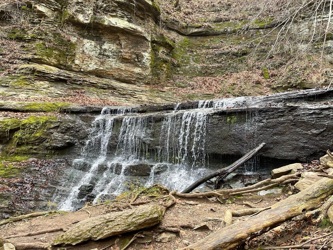 Trail Review: Natchez Trace Parkway, Baker Bluff Overlook to Jackson Falls