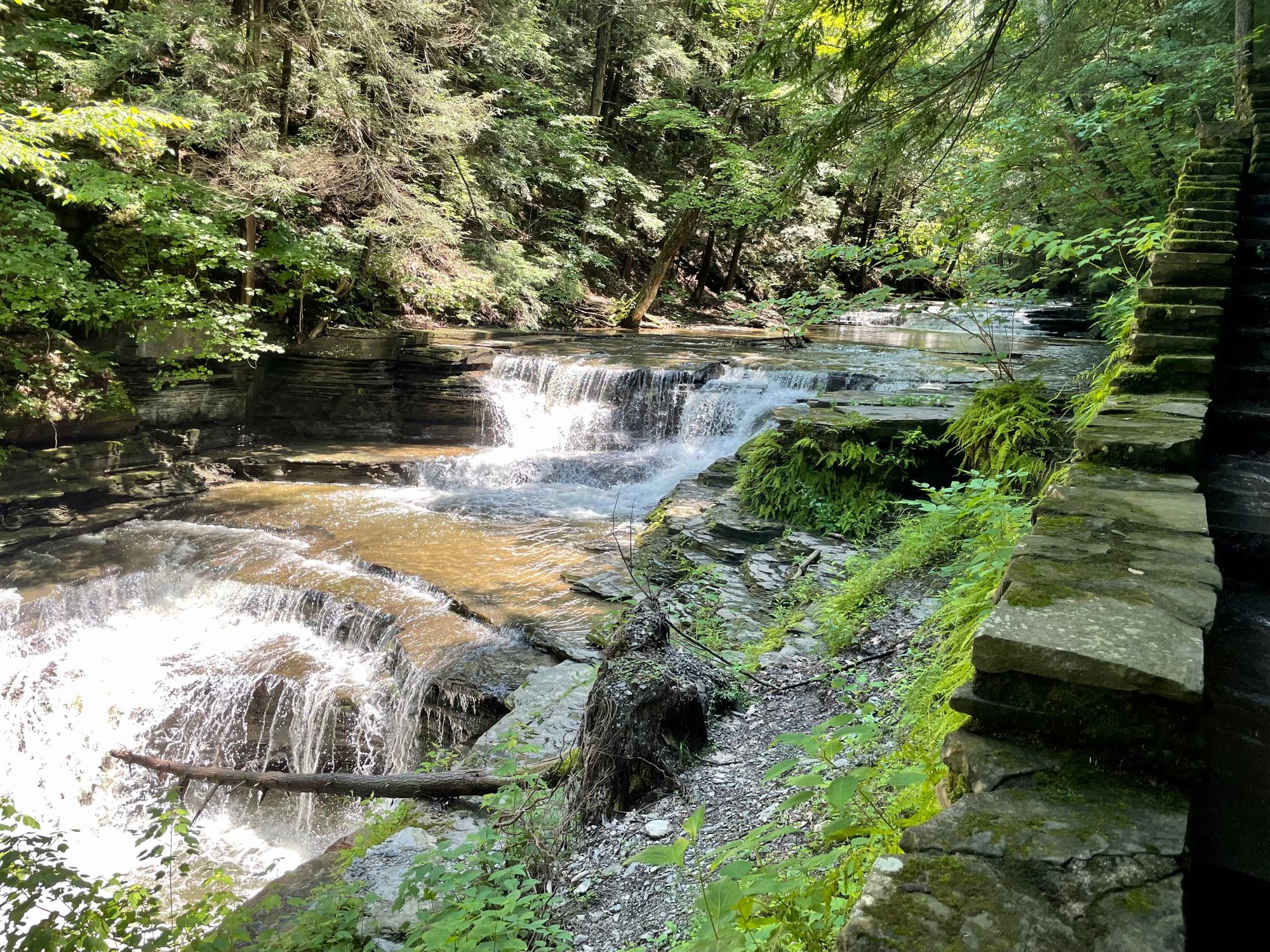 Trail Review: Gorge Trail and Rim Trail Loop at Buttermilk Falls State Park