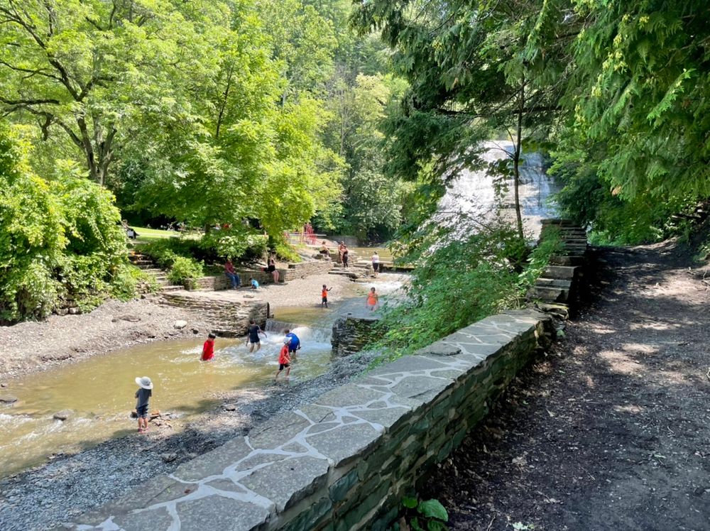 Trail Review: Gorge Trail And Rim Trail Loop At Buttermilk Falls State Park