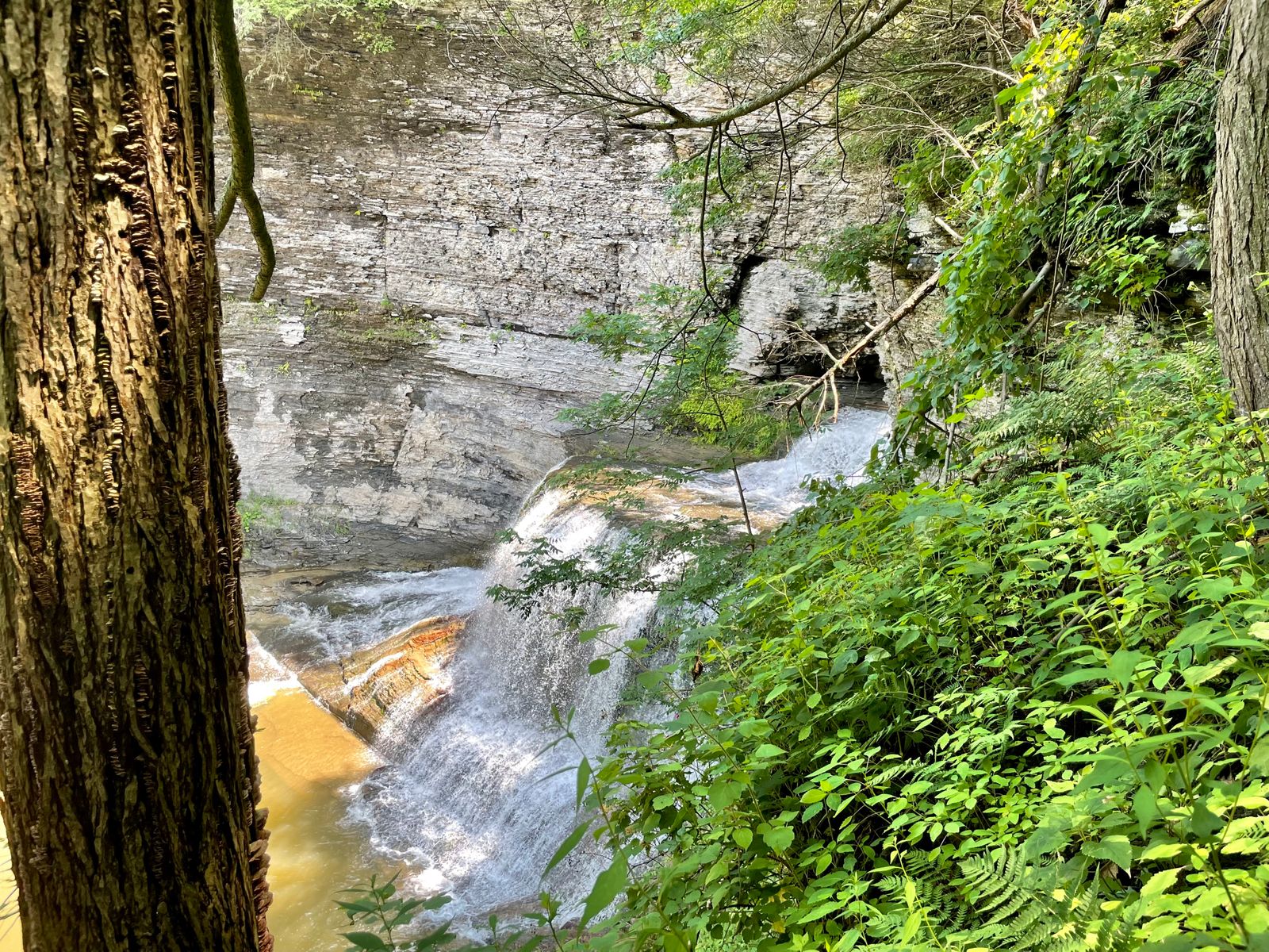Trail Review Trail and Rim Trail Loop at Buttermilk Falls State Park