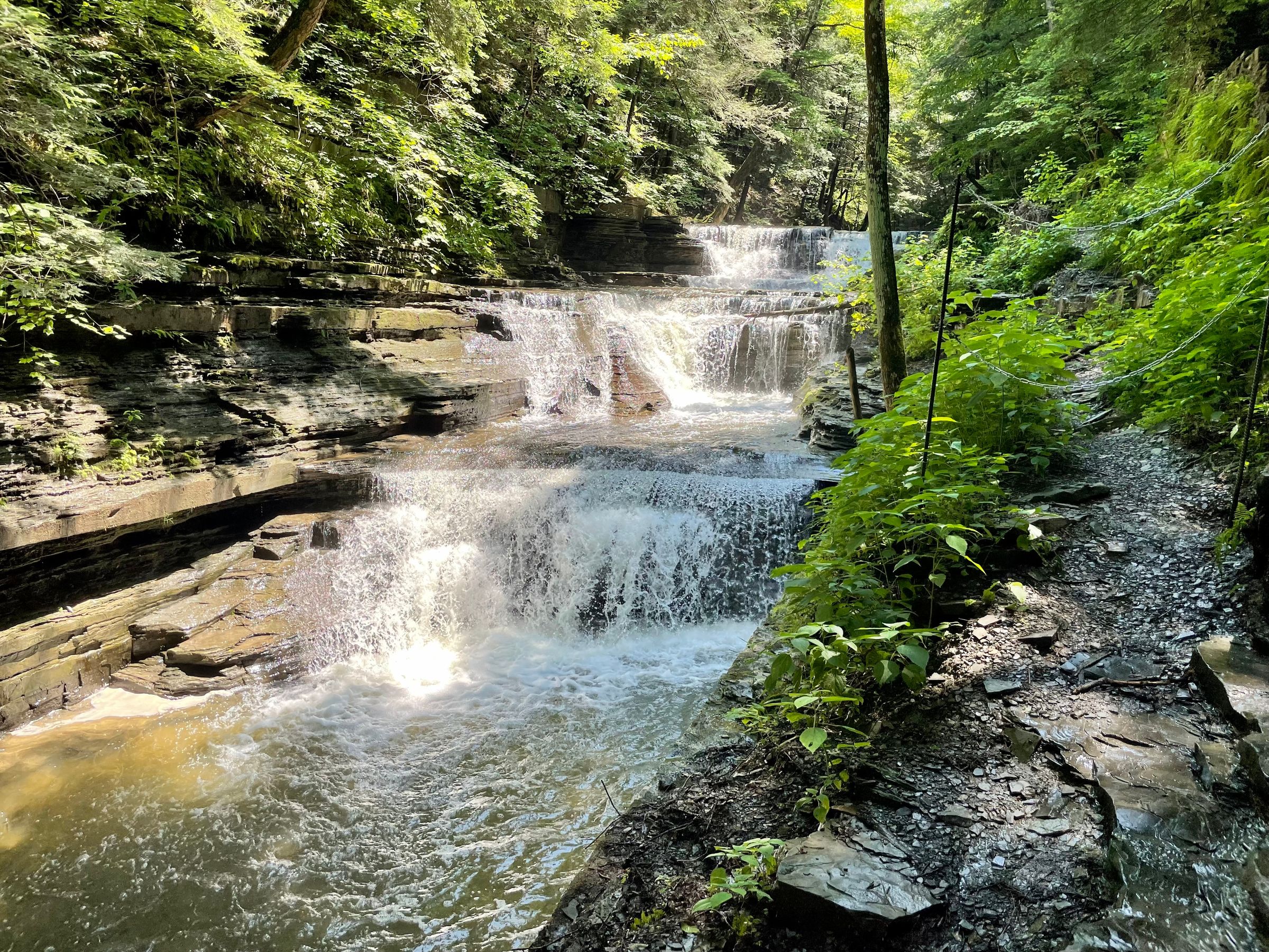 Trail Review Trail and Rim Trail Loop at Buttermilk Falls State Park