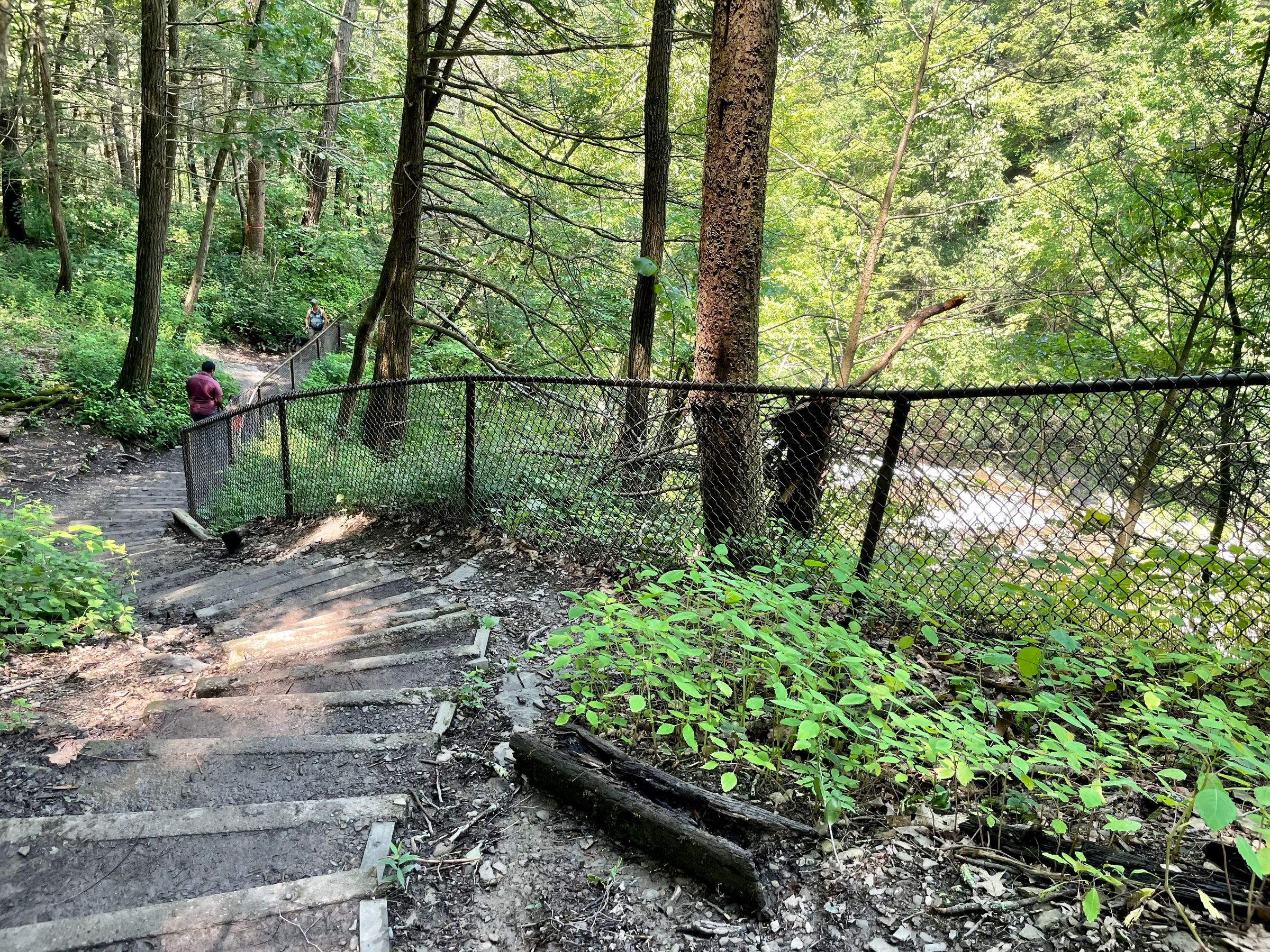 Trail Review Trail and Rim Trail Loop at Buttermilk Falls State Park
